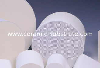 Honeycomb Ceramic / Catalyst Supports White For Vehicle Exhaust