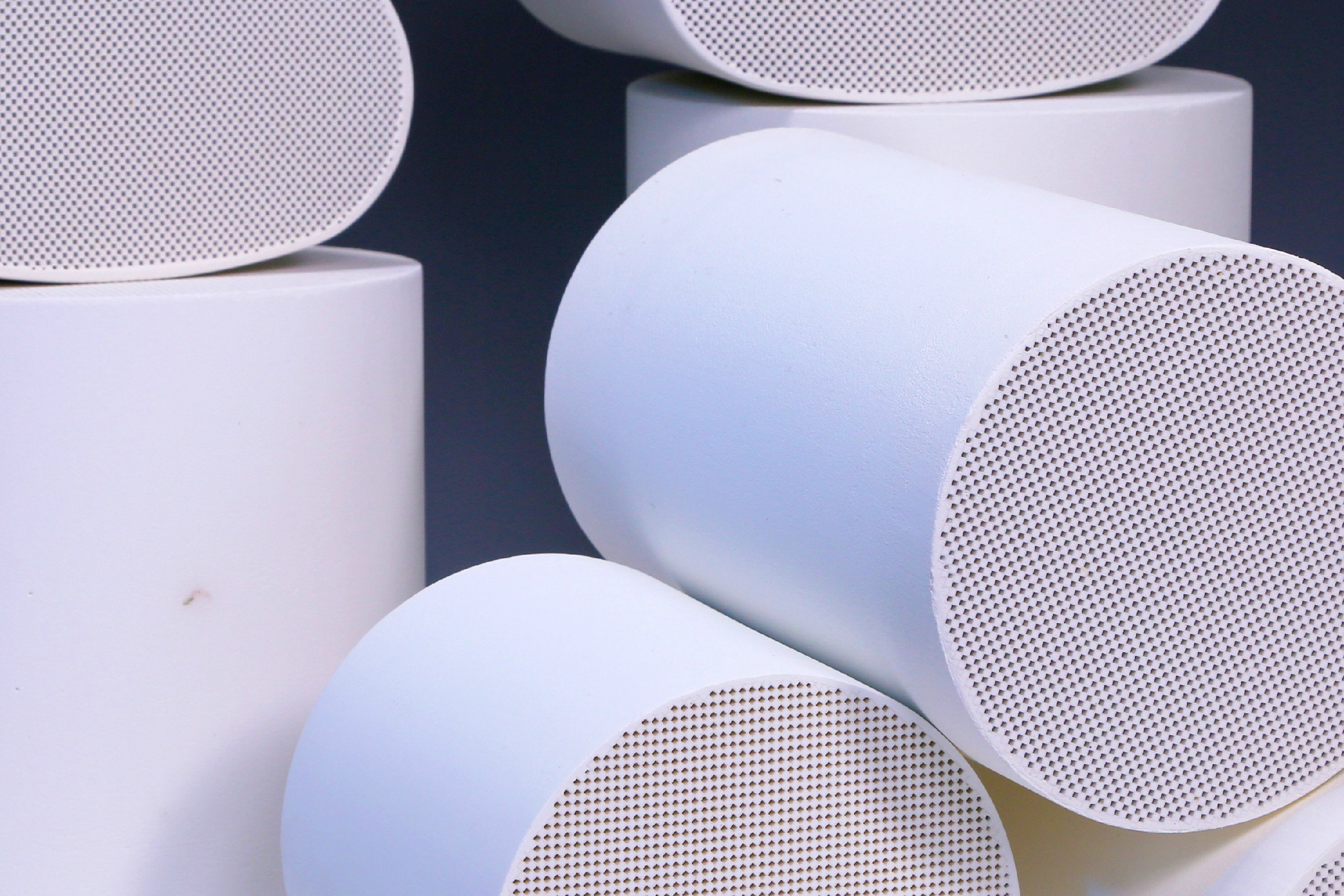 Pyruvate: Substrate Or Product? The Answer Will Shock You! - ed5bib0